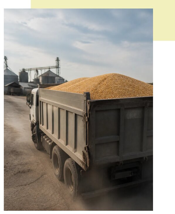 Перевозка сельхозпродукции навалом в Бузулук по цене от 3127 р. | Агросервис-Бзл